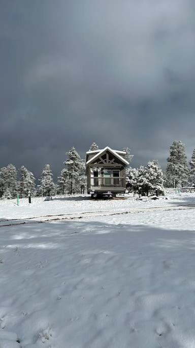 Cabins With A Mountain View 4A Williams Luaran gambar