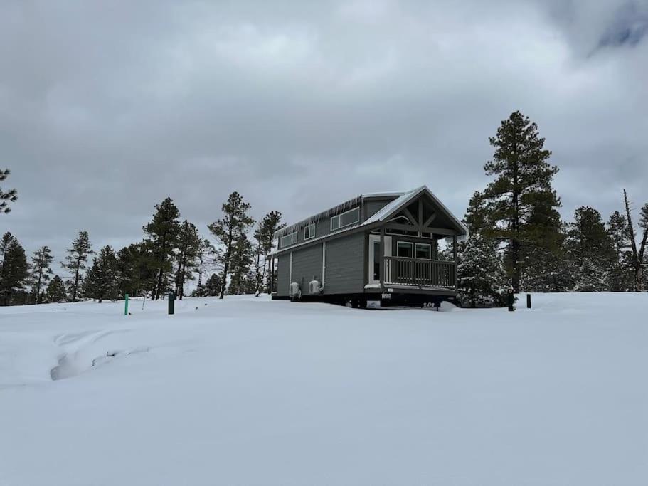 Cabins With A Mountain View 4A Williams Luaran gambar
